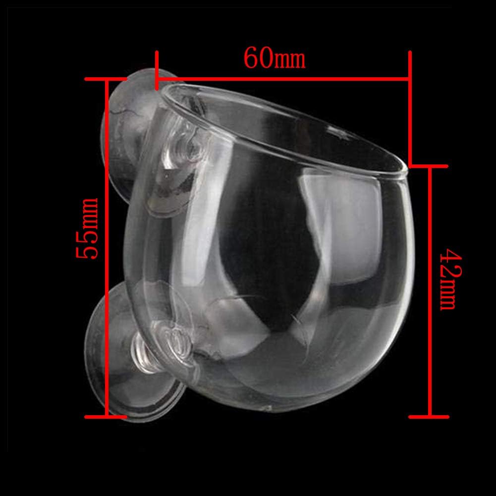 yeemeen Aquarium Plant Holder, 2Pcs Glass Plant Pot Aquarium with Suction Cups - Image 3