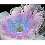 Geyou 5D Diamond Painting Full Drill by Number Kits Flower Stitch DIY Embroidery Diamond Home Decor Gift New,Cross-Stitch Stamped Kits (B)