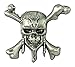 Disney Pirates of the Caribbean-Skull and Cross Bones Pewter Lapel Pin Novelty Accessory