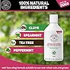 CG-Pets-Dog-Shampoo-For-Itchy-Skin-Antibacterial-And-Antifungal-100-Natural-Medicated-Low-Lather-Safe-Formula-Fast-Absorbing-and-Skin-Cooling-First-Aid-Great-For-Cuts-Grazes-Skin-Irritation C&G Pets | Dog Shampoo For Itchy Skin Antibacterial And Antifungal | 100% Natural Medicated Low Lather Safe Formula…