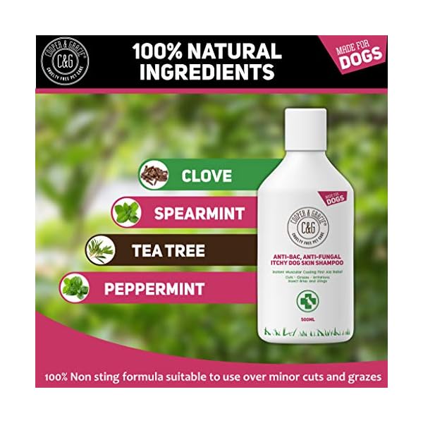 CG-Pets-Dog-Shampoo-For-Itchy-Skin-Antibacterial-And-Antifungal-100-Natural-Medicated-Low-Lather-Safe-Formula-Fast-Absorbing-and-Skin-Cooling-First-Aid-Great-For-Cuts-Grazes-Skin-Irritation C&G Pets | Dog Shampoo For Itchy Skin Antibacterial And Antifungal | 100% Natural Medicated Low Lather Safe Formula…