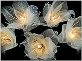 Natural Cream Flower Leaf String Lights 9-foot Long UL listed