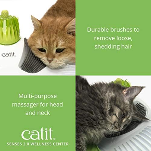 Catit Masażer dla Kotów, Kolorowy: Amazon.pl: Beauty