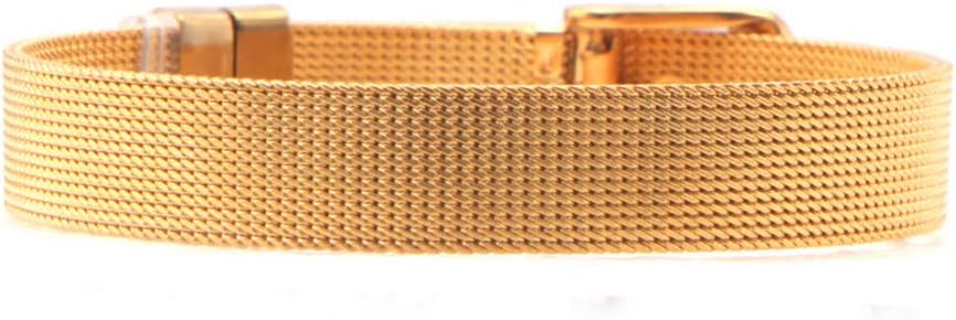 IJEWALRY Women'S Bracelet Bracelets Wristband,Fashion Personal Stainless Steel Women Mesh Bracelet Bracelet For Slide Charms Diy Bracelets Silver Rose Gold Black Gifts