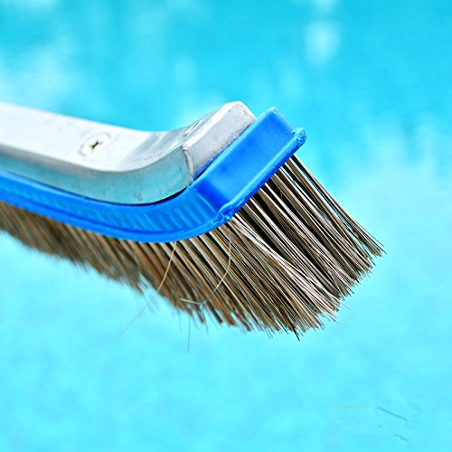 Aquatix Pro Pool Brush Head, 18