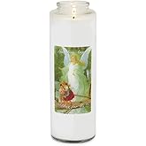 Root Candles Prayer Candles Clear Glass Devotional 7-Day Prayer Candle, 1-Count, Guardian Angel