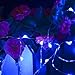 CrazyFire 30 LEDs 3M/9.8ft Blue Copper Wire String Operated with AA Batteries Bendable Fairy Copper Wire Light for Christmas Valentine's Day