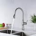 Kitchen Sink Faucet, GICASA Brushed Nickel Single Handle Pull Out Sink Faucet, Stainless Steel Pause Function Sprayer Pull Down Kitchen Sink Faucets