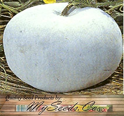 10 Winter Melone Runde Wachskurbis Seeds Tong Qwa Amazon De Garten