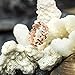 Honolulu Jewelry Company Sterling Silver Plumeria Eternity Ring with 14K Rose Gold Finish(7)