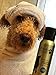 PAWFUME Dog Perfume Spray for Grooming, Blue Ribbon, 1-Pack – Keep Your Pup Fresh All Day – Probiotic, Alcohol-Free, Detangling & Moisturizing – Salon-Quality Dog Spray Deodorizer Perfume