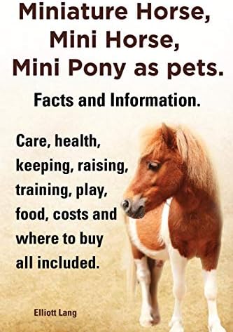 Miniature Horse, Mini Horse, Mini Pony as Pets. Facts and Information. Miniature Horses Care, Health, Keeping, Raising, Training, Play, Food, Costs an