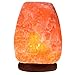 BULBMASTER Himalayan Light Bulb Replacement for Medium/Large Himalayan Salt Lamps Rocks Long Lasting Incandescent Bulbs E12 Candelabra Base Dimmable Pack of 6 (25WT6-6)