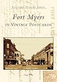 Fort Myers in Vintage Postcards (FL) (Postcard History) by Gregg Turner