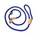 Adjustable Nylon Dog Pet Rope Products Slip Pet Dog Whisperer Cesar Slip Training Leash Lead Collar, 4-Feet (Blue)
