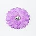 CÉLLOT Alligator Hair Clips for Kids 2 inches 2