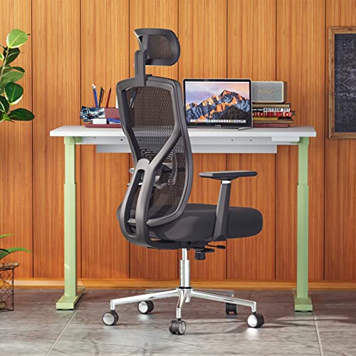 MOLENTS Ergonomic Office Chair,Mesh Computer Chair,Home Office Desk