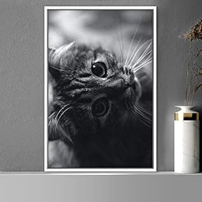 signwin Framed Canvas Wall Art Duotone Cat Animals...