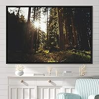 Framed Canvas Wall Art Rustic Woods Brown Dark Dramatic Forest Group Nature Photography Realism - 16x24 inches