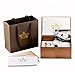 Men's Fashion Wrist Watches Automatic Mechanical Casual Watch Stainless Steel with Brown Leather Band White Dial