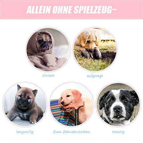 6 + 2 Stück Welpenspielzeug-Set, Kauspielzeug für Hunde, süßes Interaktives Kauen Seilspielzeug Zahn Sauberes Spielzeug mit Baumwolle und Gummi für kleine Hunde, waschbares Baumwollseil-Hundespielzeug