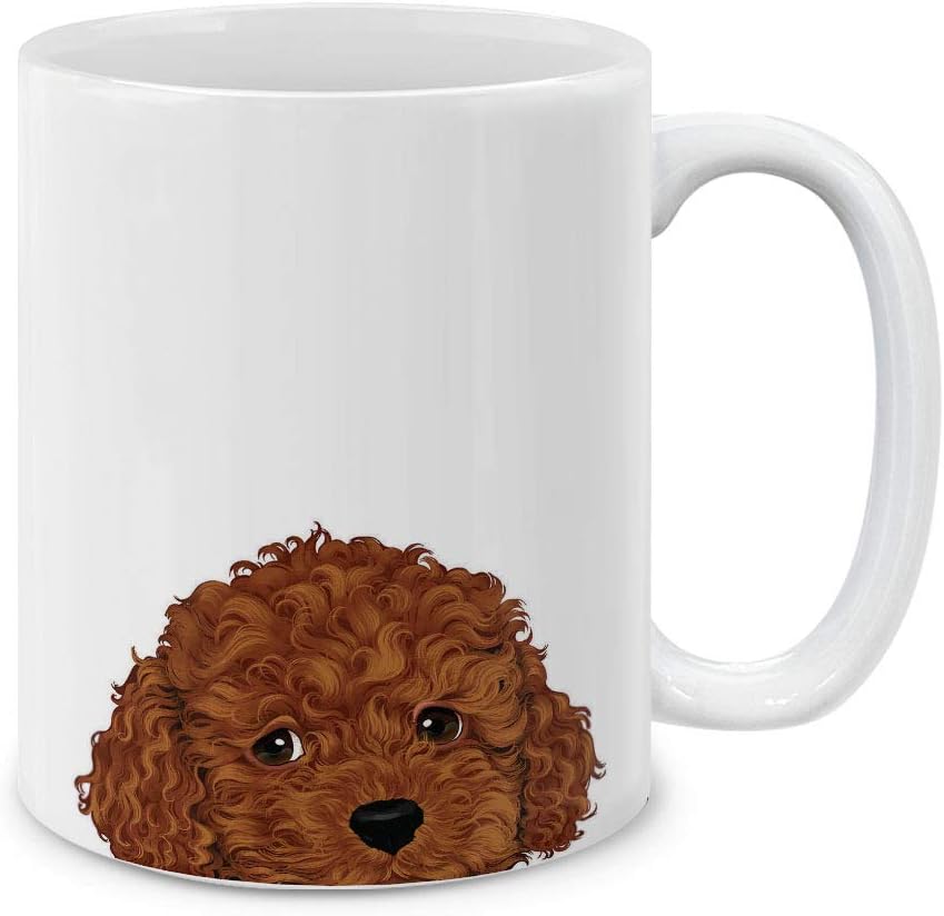toy cup poodle