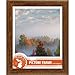 Craig Frames Contemporary Picture Frame, 18 x 24 Inch, Walnut Brown