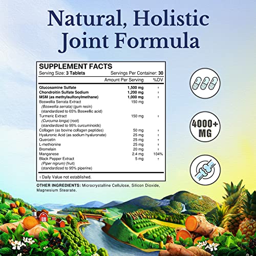 Vitalitown Glucosamine Chondroitin MSM, Triple Action+ Joint Formula 12 JointLoving