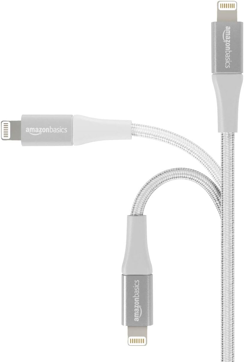 Basics Double Braided Nylon Lightning to USB Cable, Advanced Collection, MFi Certified Apple iPhone Charger, Silver, 10 Feet