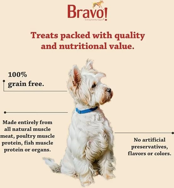 BRAVO! BONUS BITES SINGLE INGREDIENT FREEZE DRIED RAW DOG TREATS, SALMON, 2 OUNCE, HIGH PROTEIN, GRAIN FREE, GLUTEN FREE