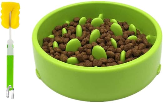 green interactive feeder