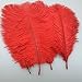 Sowder 20pcs Natural 10-12inch(25-30cm) Ostrich Feathers Plume for Wedding Centerpieces Home Decoration(red)