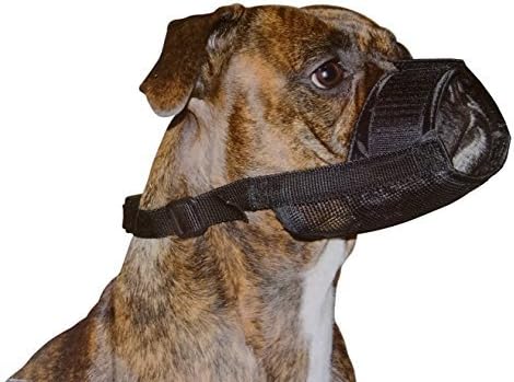 Dog Mesh Muzzles for Barking Biting Chewing Nylon Mesh Adjustable Velcro for Small Medium Large Big Dogs Anti Bite Chew Bark Lick Able to Drink Breathable (L)