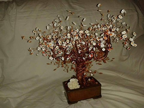 Amber Bonsai Tree | Desertcart Bahamas