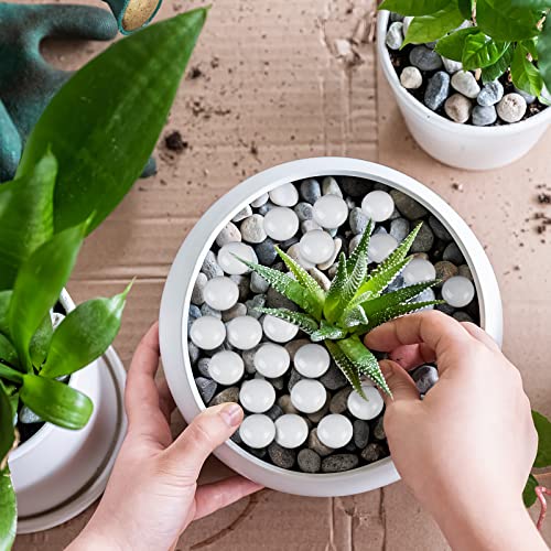 VGOODALL White Glass Pebbles, 120 Approx.0.42 KG Flat Stone Beads Marble Glazed White for Vase Filler Decorative Aquarium Flowerpot Table Garden Decoration