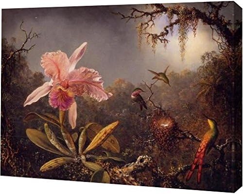 Cattleya Orchid and Three Brazilian Hummingbirds by Martin Johnson Heade - 9" x 11" Gallery Wrapped Giclee Canvas Art Print - Ready to Hang