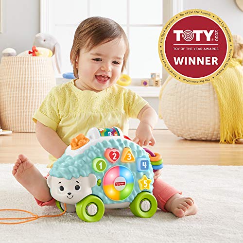 Fisher-Price-Linkimals-Happy-Shapes-Hedgehog-Interactive-Educational-Toy-with-Music-and-Lights-for-Baby-Ages-9-Months-Up-Multi-Color