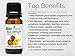 BioFinest Helichrysum Oil - 100% Pure Helichrysum Essential Oil - For Skin Rashes, Acne, Sunburn, Blemishes - Premium Quality - Therapeutic Grade - Best For Aromatherapy - FREE E-Book (10ml)