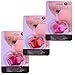 3Pcs Funny Baby Mustache Pacifiers, Cute Novelty Kissable Lip Pacifiers for Newborn Infant Toddlers, BPA Latex Free Made with Soft Silicone - Great Baby Shower Gift!