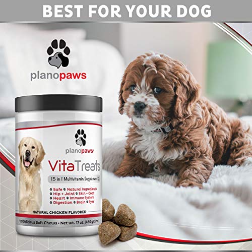 Dog Vitamin Supplements When And How To Use Them Dog Products Guide