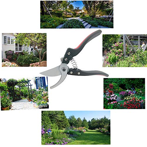 WOYESHENMU 8" Upgraded Pruning Shears £¨Germany 75CR1 Steel£, Professional Pruning Scissors for Garden, Sharp and Durable Bypass Pruner/Hand Pruners, Aluminum Alloy Handle Secateurs (Red) - Thumbnail 3