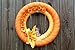 44LLC 13-inch Foam Wreath Ring for Craft and Decorations