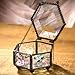 J Devlin Box 621-3 Hexagon Clear Glass Trinket Box Keepsake Gift Decorative Jewelry Ring Box