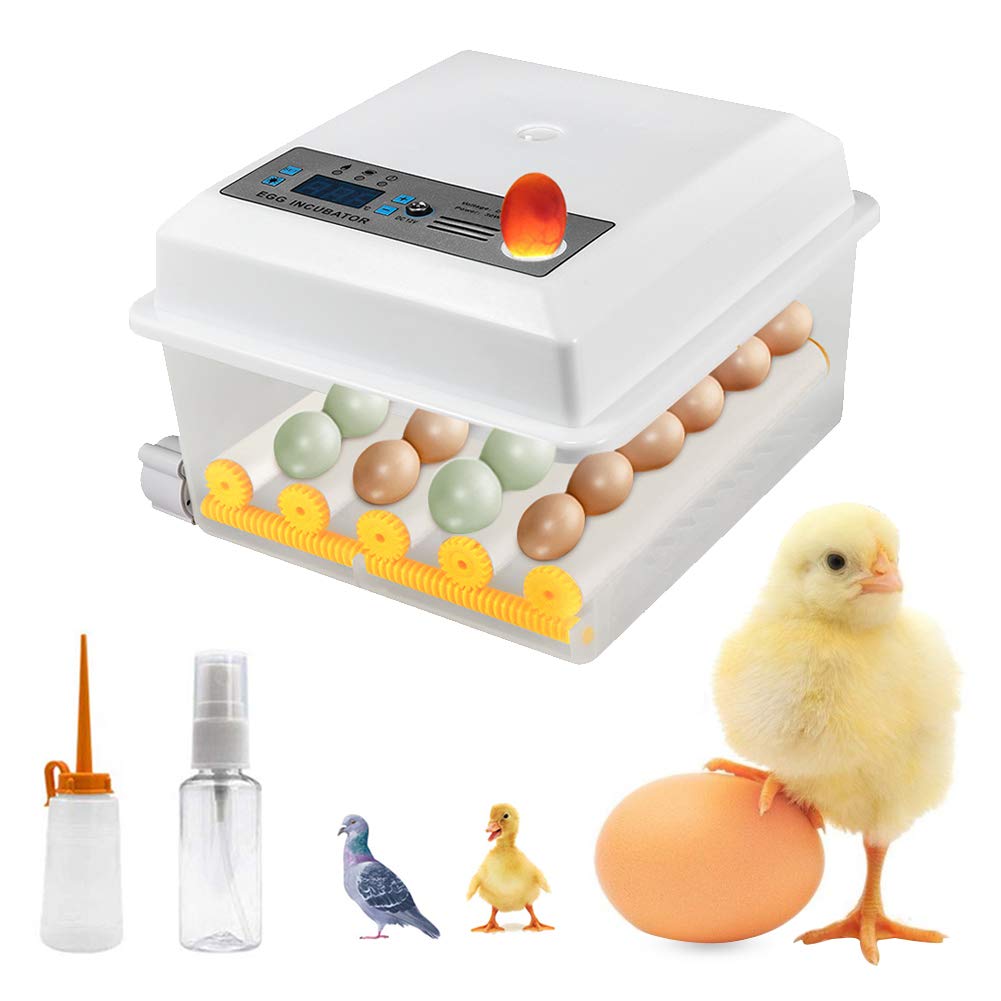 Auto-Turning Egg Incubator, 16 Digital Mini Automatic Incubators for Chicken Eggs, Duck Eggs, Goose 