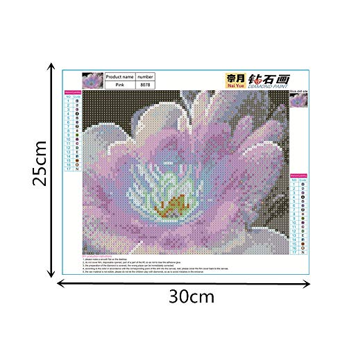 Full Drill Diamond Painting DIY 5D Partial Drill Cross Stitch Kits Crystal Rhinestone of Picture Diamond Embroidery Arts Craft (J)