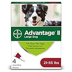 Product image for barcode 724089617583