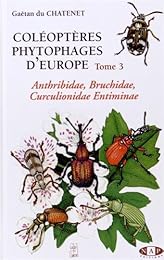 Anthribidae, Bruchidae, Curculionidae Entiminae