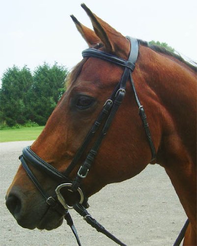 Paris Tack Opulent Series Classic Dressage Bridle with Crank Noseband and Flash Attachment, Black, Oversize
