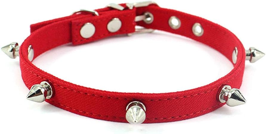 heavy duty cat collar