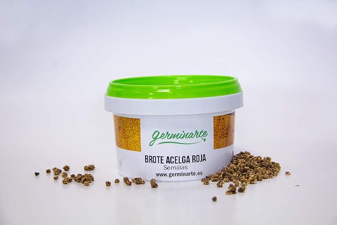SEMILLA DE BROTE ACELGA ROJA | 75 gr.- 500 gr. - 1 kgr. | 55 ...